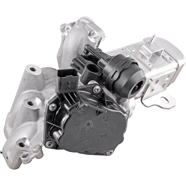 Egr-ventil Vemo V25-63-0031 VEMO