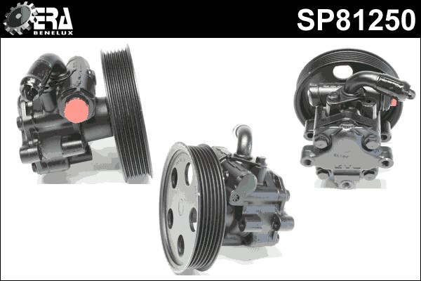 Servopump Era benelux SP81250 ERA Benelux