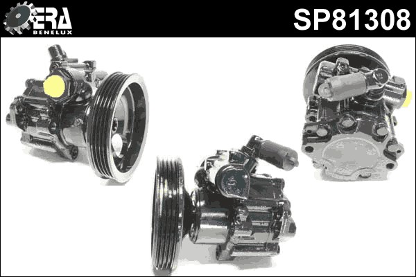 Servopump Era benelux SP81308 ERA Benelux