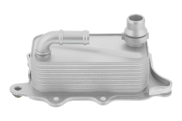 Oljekylare, motor
