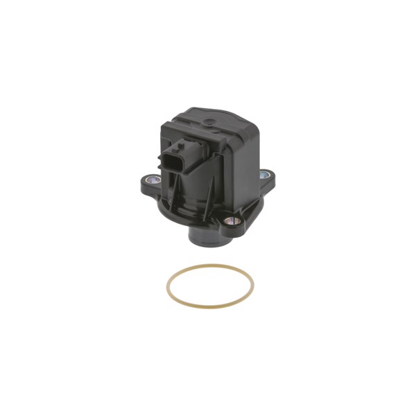Wastegate