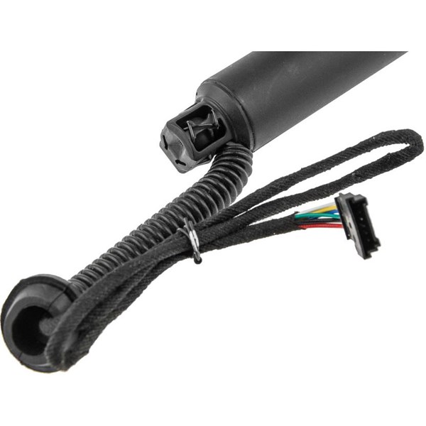 Elektrisk baklucka, Vänster bak Nty AE-BM-078 NTY