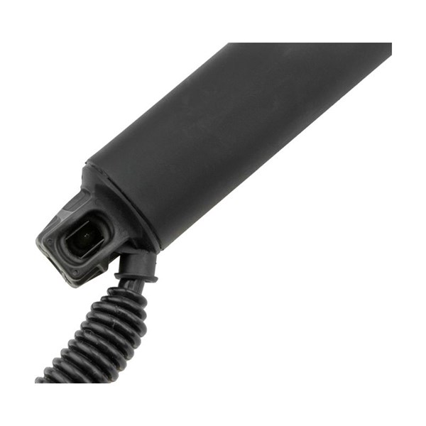 Elektrisk baklucka, Vänster bak Nty AE-BM-096 NTY