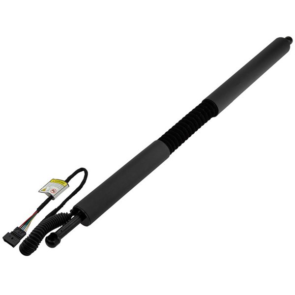 Elektrisk baklucka, Vänster bak Nty AE-BM-109 NTY