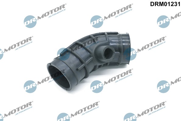 Insug, luftfilter Dr.Motor Automotive