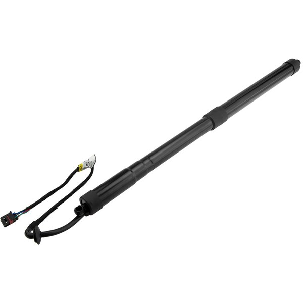 Elektrisk baklucka, Höger bak, Vänster bak Nty AE-NS-031 NTY