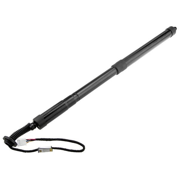 Elektrisk baklucka, Höger bak Nty AE-TY-038 NTY