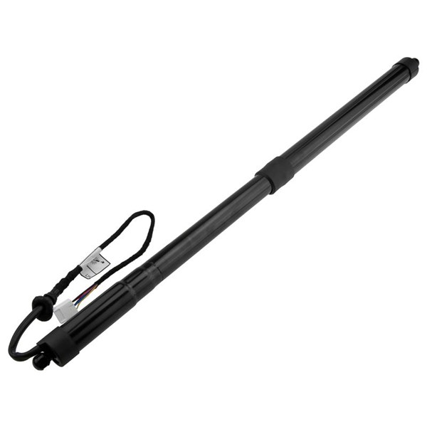 Elektrisk baklucka, Vänster bak Nty AE-TY-039 NTY