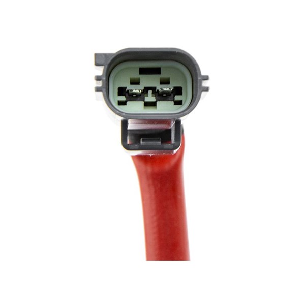Insprutningsenget, sot-/partikelfilter-regenerering Nty BWP-FR-00 NTY