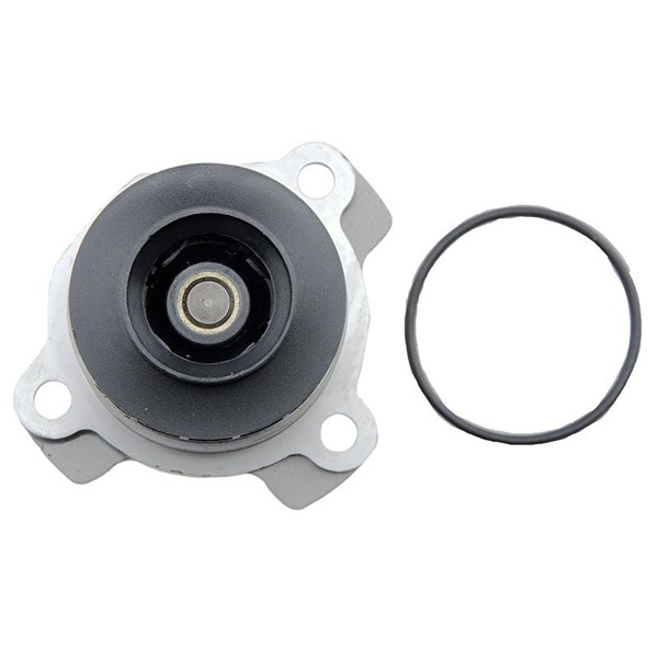 Vattenpump Nty CPW-NS-081 NTY Vattenpump Nty CPW-NS-081 NTY