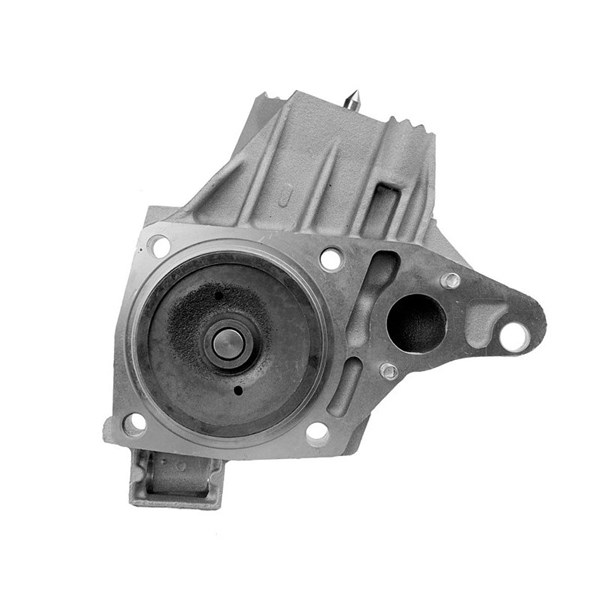 Vattenpump Nty CPW-PL-036 NTY