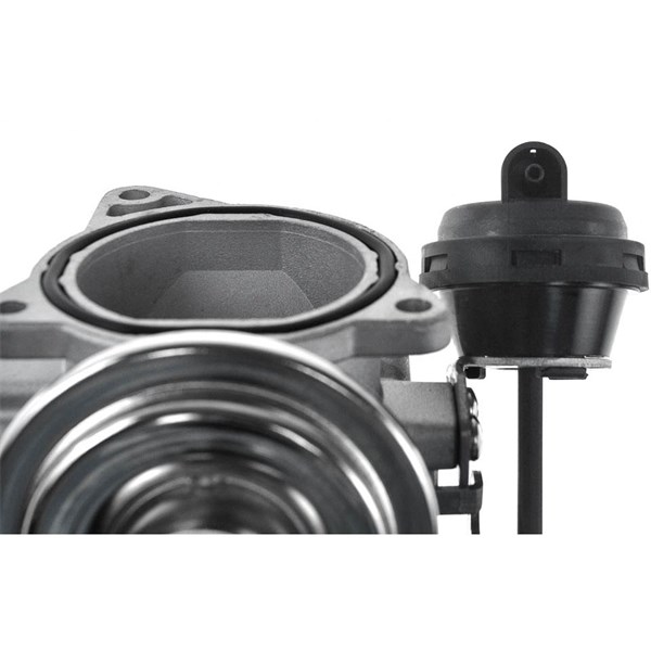 Egr-ventil Nty EGR-AU-001 NTY Egr-ventil Nty EGR-AU-001 NTY