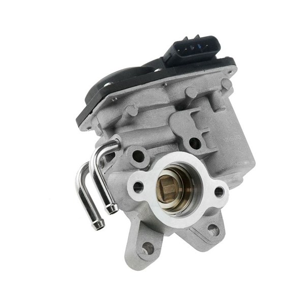 Egr-ventil Nty EGR-NS-003 NTY Egr-ventil Nty EGR-NS-003 NTY