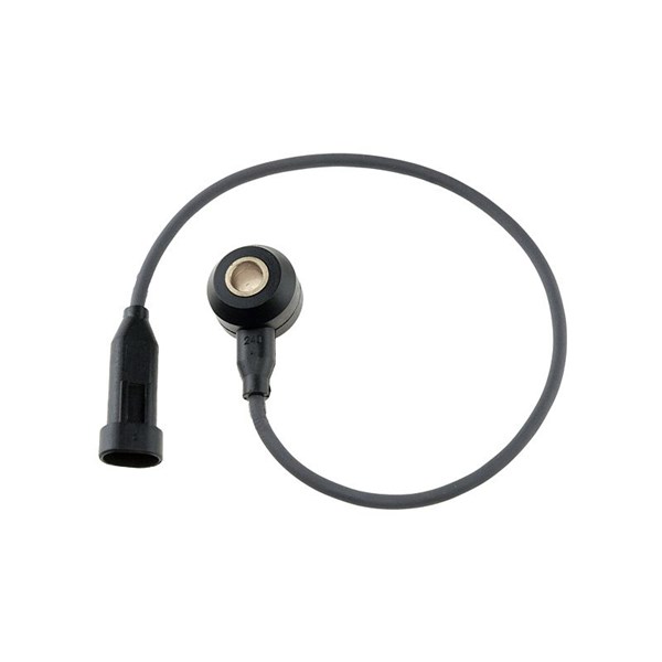 Knackningssensor Nty ESS-PL-000 NTY