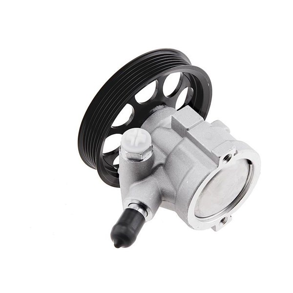 Servopump Nty SPW-PL-009 NTY