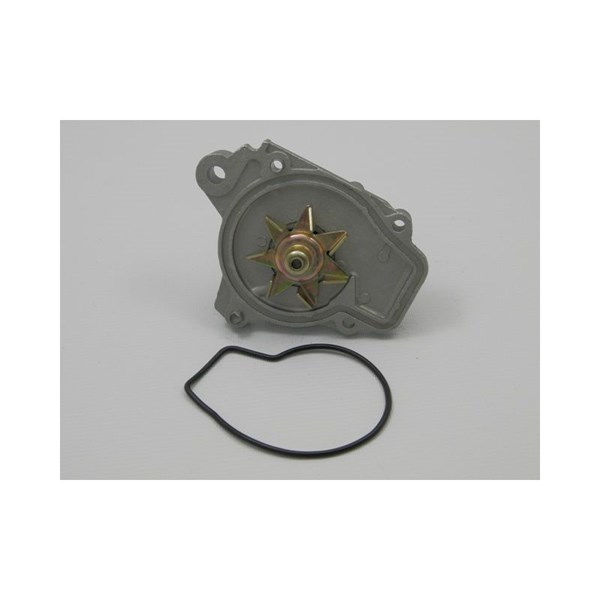 Vattenpump Nty CPW-HD-019 NTY
