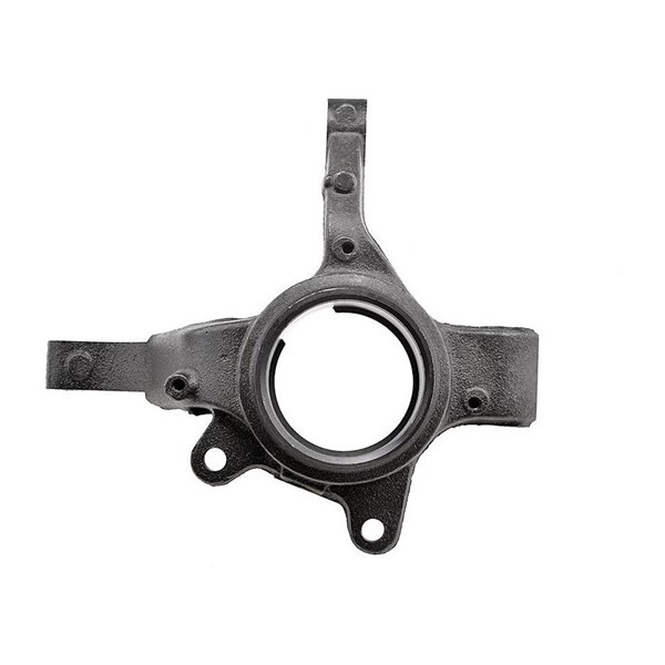 Spindelbult, hjulupphängning, framaxel vänster Nty ZZP-RE-012 NTY
