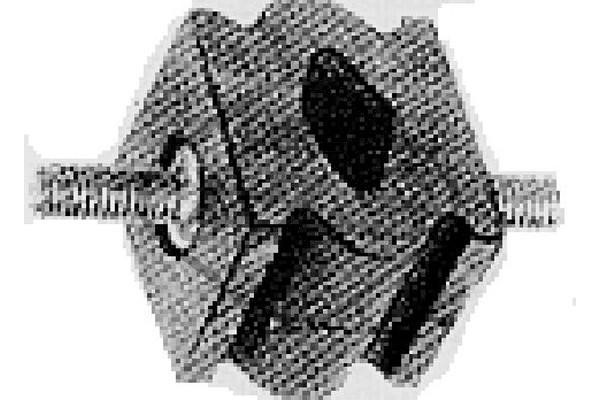Hållare, avgassystem Metalcaucho 00205 Metalcaucho