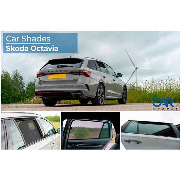 Solskydd, Bak Car Shades