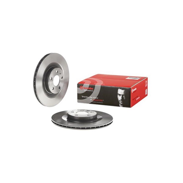 Bromsskiva, Bakaxel BREMBO