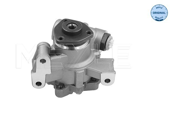 Servopump Meyle 014 631 0009 MEYLE