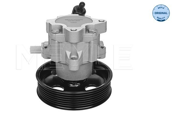 Servopump Meyle 014 631 0012 MEYLE