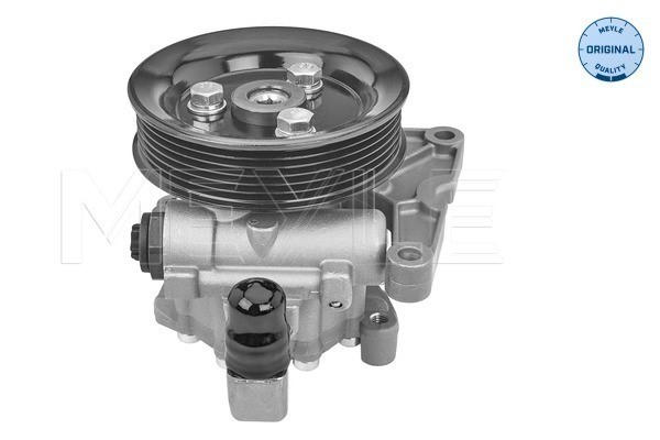 Servopump Meyle 014 631 0022 MEYLE