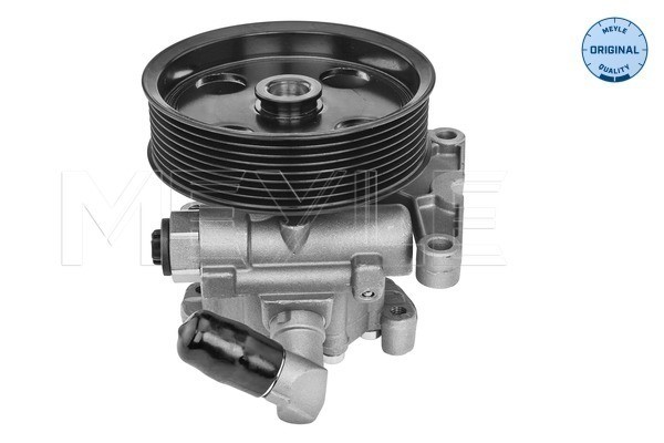 Servopump Meyle 014 631 0028 MEYLE