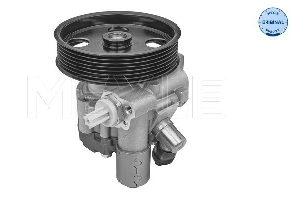 Servopump Meyle 014 631 0029 MEYLE Servopump Meyle 014 631 0029 MEYLE