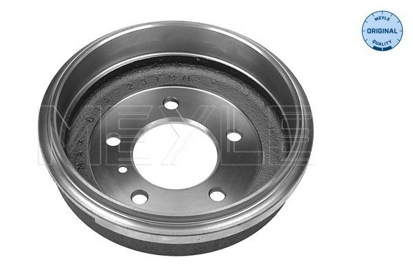 Bromstrumma, Bakaxel Meyle 015 523 2090 MEYLE
