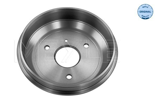 Bromstrumma, Bakaxel Meyle 015 523 2105 MEYLE Bromstrumma, Bakaxel Meyle 015 523 2105 MEYLE