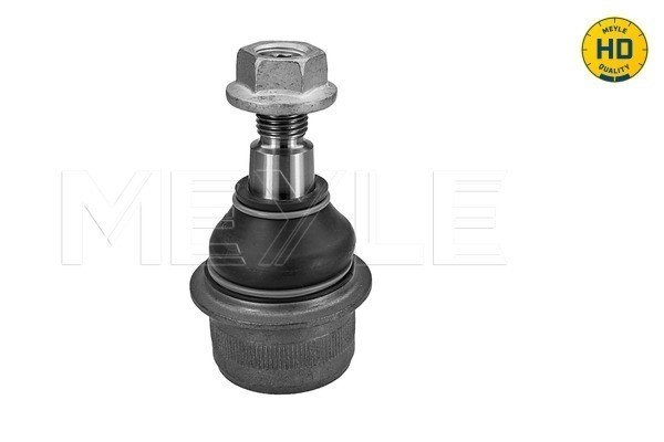Kulled / Spindelled, Ytter, framaxel höger, framaxel vänster, Ned MEYLE Kulled / Spindelled, Ytter, framaxel höger, framaxel vänster, Ned MEYLE