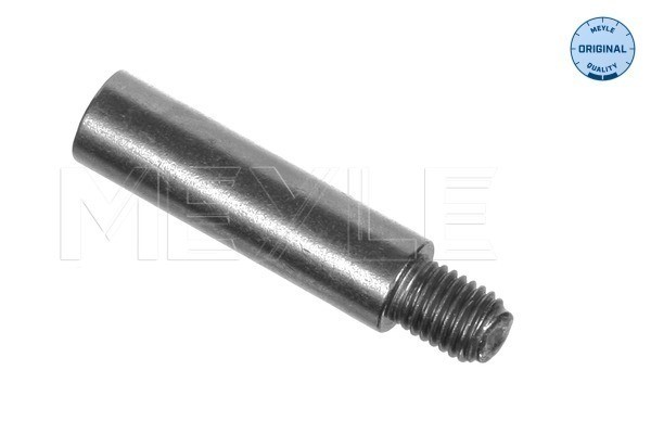 Styrbult, bromsok, Framaxel Meyle 100 698 0008 MEYLE