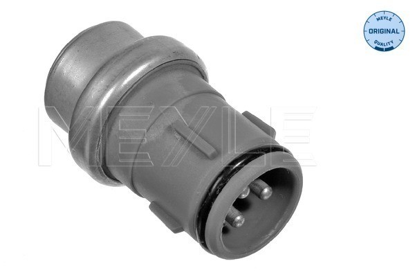 Kylvätsketemperatur-sensor Meyle 100 919 0010 MEYLE