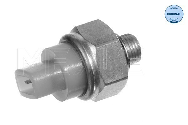 Kylvätsketemperatur-sensor Meyle 100 919 0027 MEYLE