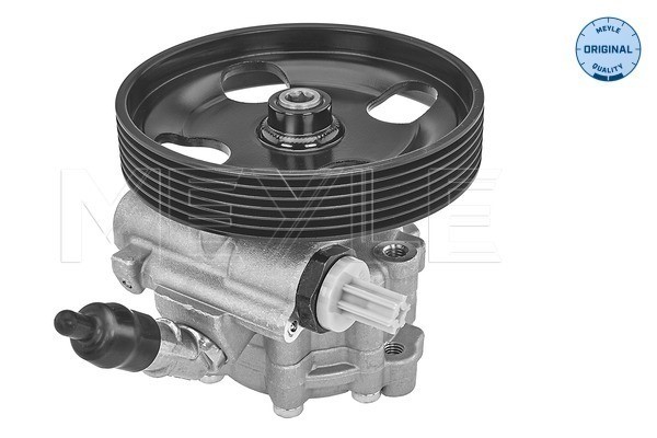 Servopump Meyle 11-14 631 0005 MEYLE