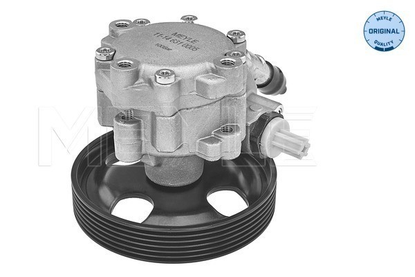 Servopump Meyle 11-14 631 0005 MEYLE Servopump Meyle 11-14 631 0005 MEYLE
