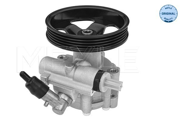 Servopump Meyle 11-14 631 0013 MEYLE