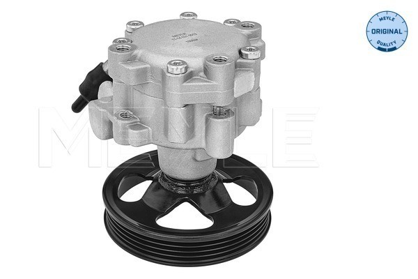 Servopump Meyle 11-14 631 0013 MEYLE
