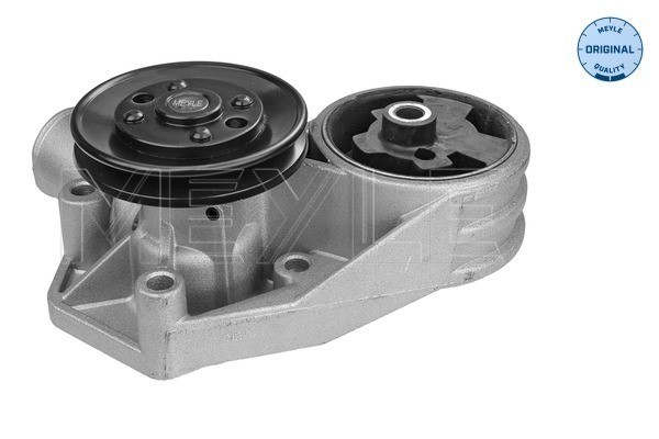 Vattenpump Meyle 113 005 0001 MEYLE