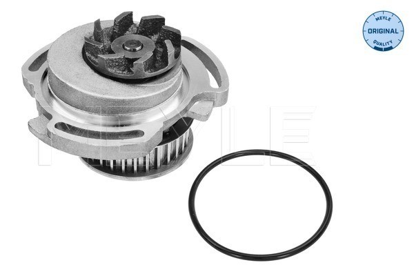 Vattenpump Meyle 113 012 0002 MEYLE