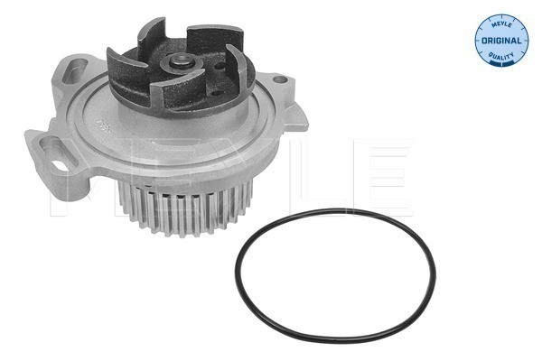 Vattenpump Meyle 113 012 0006 MEYLE