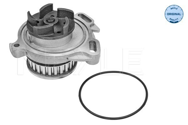 Vattenpump Meyle 113 012 0012 MEYLE