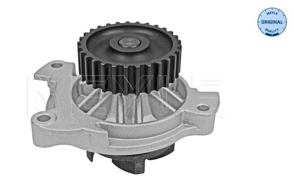 Vattenpump Meyle 113 012 0022 MEYLE