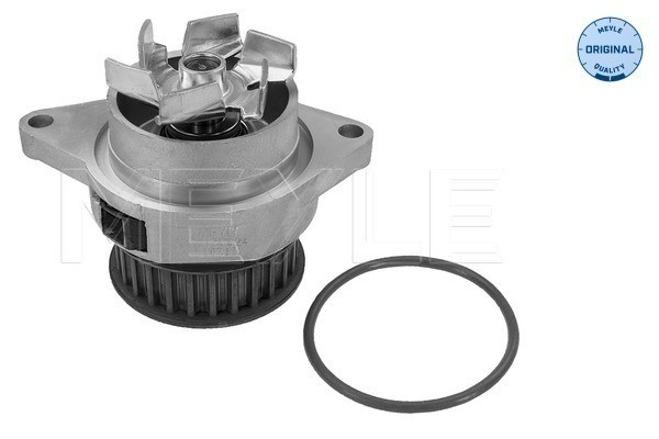 Vattenpump Meyle 113 012 0024 MEYLE
