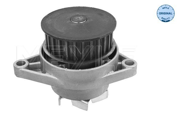 Vattenpump Meyle 113 012 0024 MEYLE