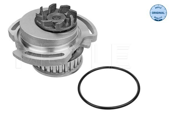 Vattenpump Meyle 113 012 0025 MEYLE