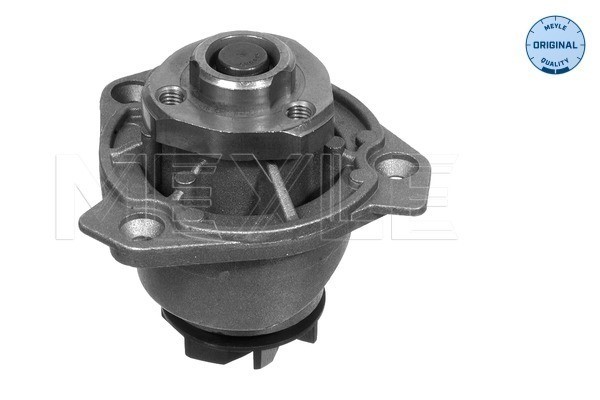 Vattenpump Meyle 113 012 0043 MEYLE
