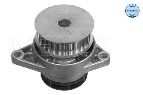 Vattenpump Meyle 113 012 0049 MEYLE