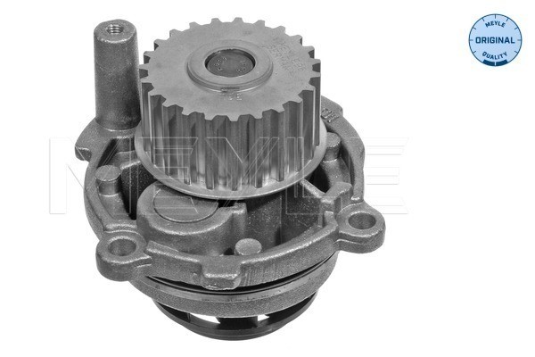 Vattenpump Meyle 113 012 0052 MEYLE